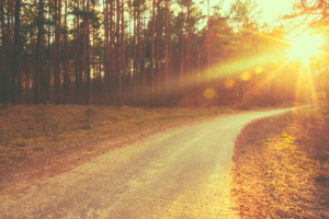 Jess Schell - Transformational Life Coach - Transform with JLS