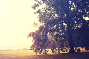 Jessica Schell's Story- Transformational Life Coach