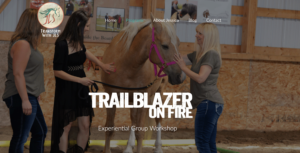 Transform with JLS - Trailblazer on Fire